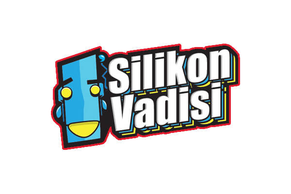 Silikon Vadisi
